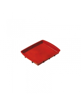 Moule Rectangle Pavoni Italia